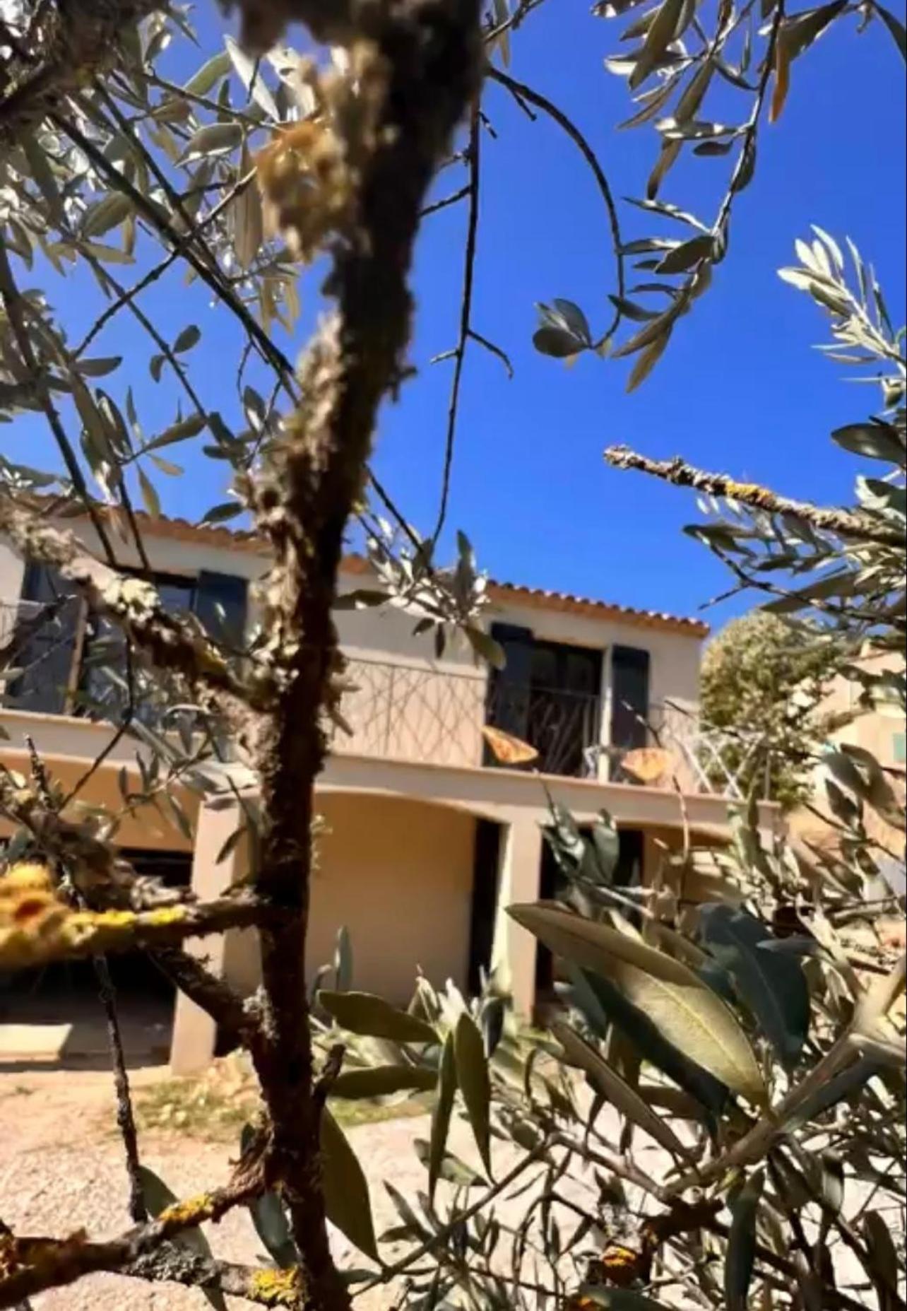 Loft Pied De Coline Au Calme Διαμέρισμα Ginasservis Εξωτερικό φωτογραφία